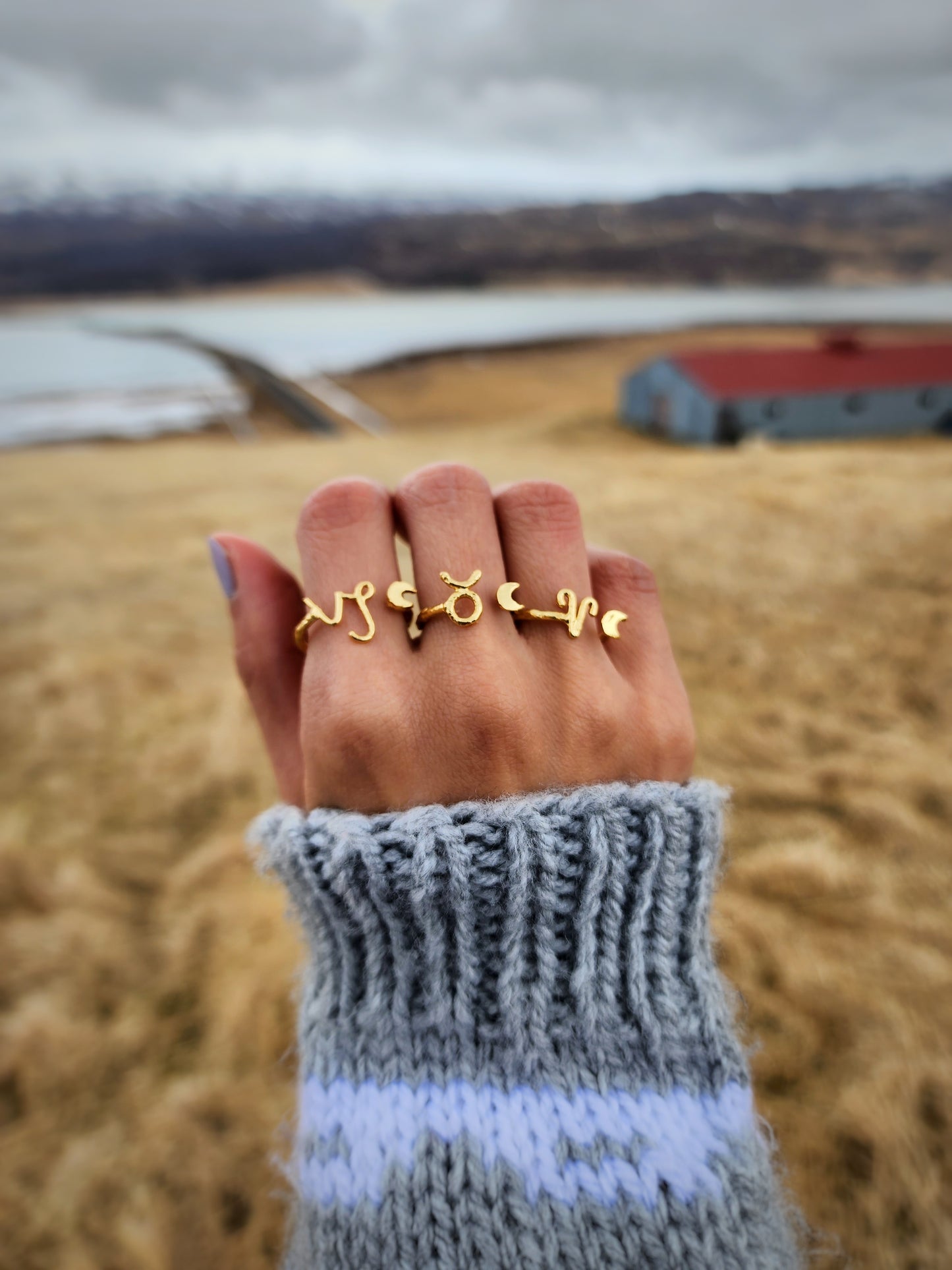 Astrology Sign Ring